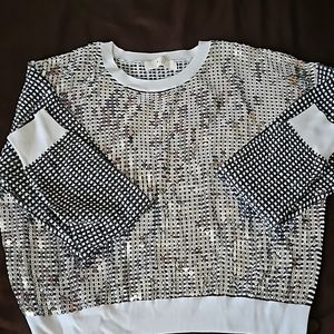 Gray and silver sparkling jogger outfit.